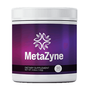 MetaZyne-Official-Website